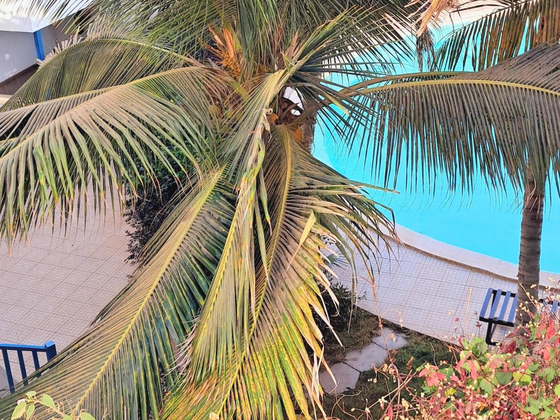 Sal Service Leme Bedje Residence ซังตามาเรีย ภายนอก รูปภาพ